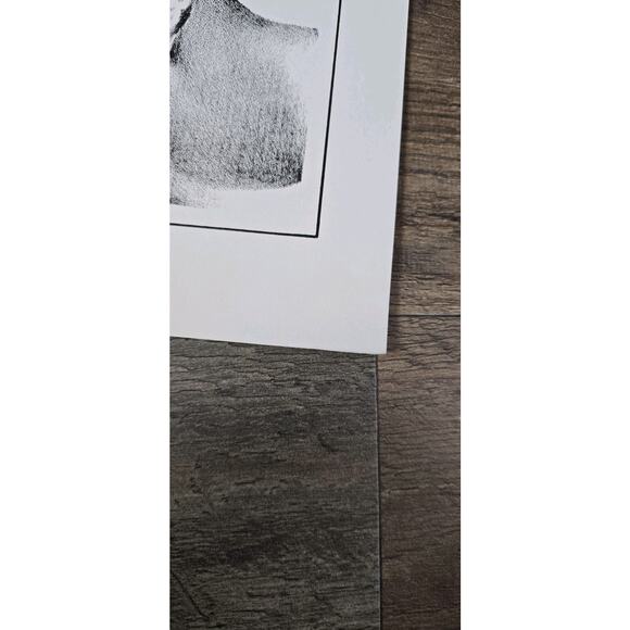 Fantastic Nudes 2nd Series Portfolio 10 Prints Stephen Fabian 1976 Pre Owned - Picture 8 of 10